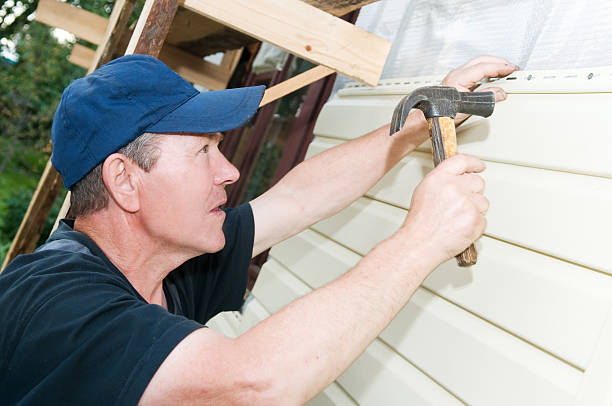 Best Fascia and Soffit Installation  in Woodland Beach, MI