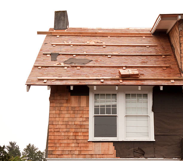 Best Insulated Siding Installation  in Woodland Beach, MI